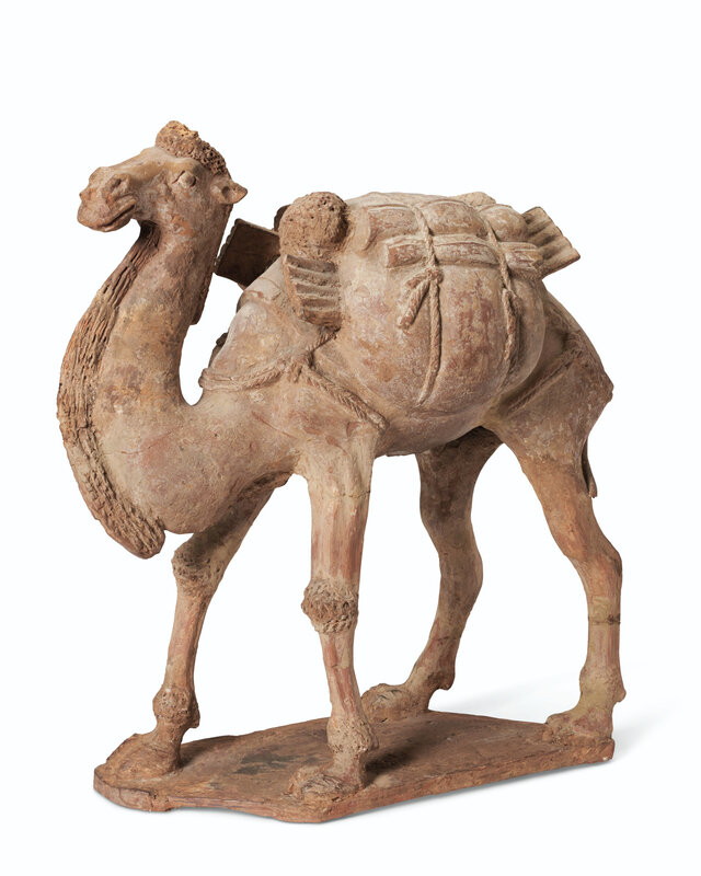 A painted pottery figure of a striding Bactrian camel, Tang dynasty (AD 618-907)