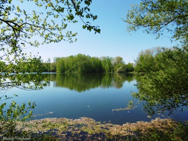 1-Lac du Glé Neuf à St Cricq du Gave 120417