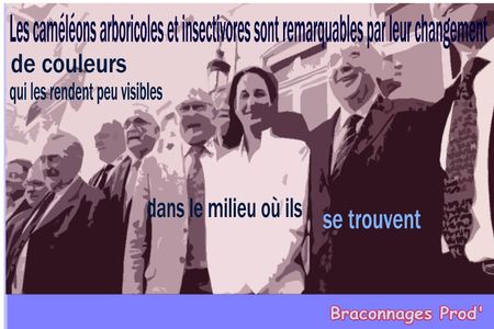 Cam_l_ons