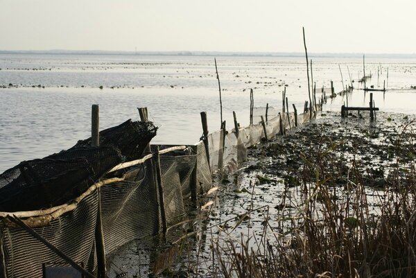 peche-a-l-anguilles-lac-de-grand-lieu1