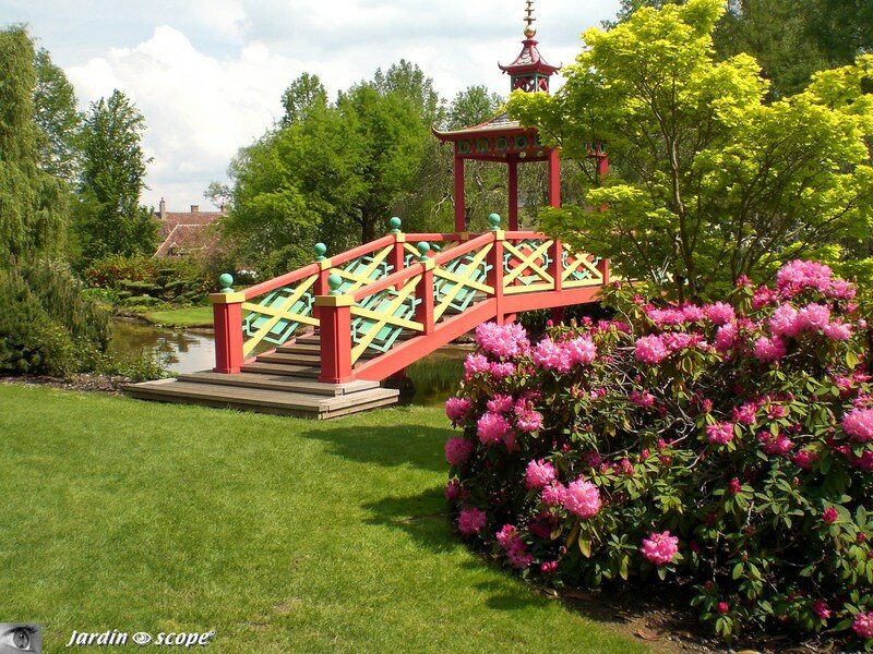 Le pont Chinois met en valeur un rhododendron