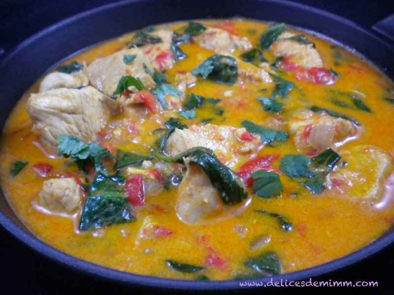 Poulet au curry thaï 3