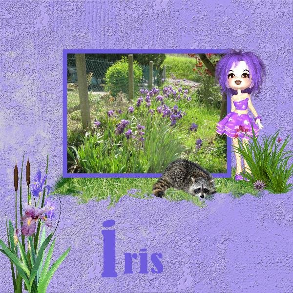 iris