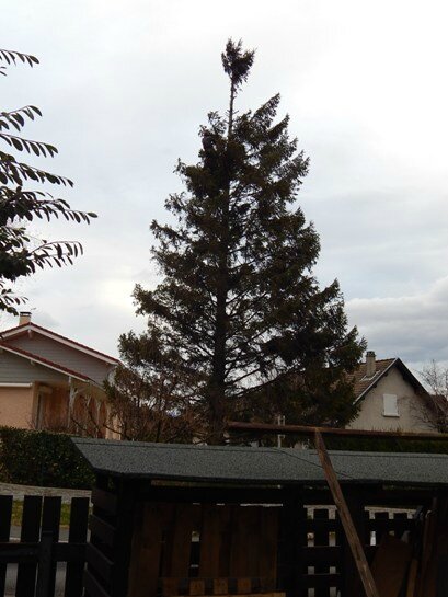 DSCN1310-2