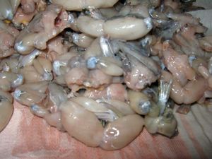 d anniversaire !! recettes d anniversaire !!