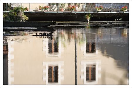 moulin_canards_Roussille_060710
