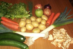 legume 009