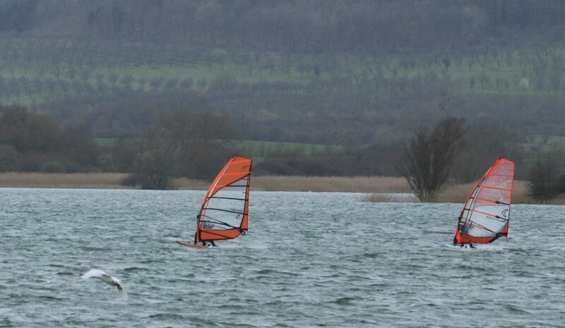 IMG_1710 - Copie