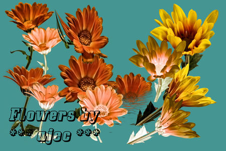 Flowers_by_ajec_Preview