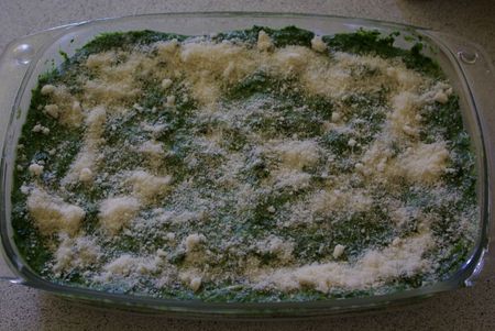 Lasagne Epinard-Saumon 007