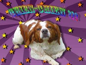 Rip_le_sien_sien_2