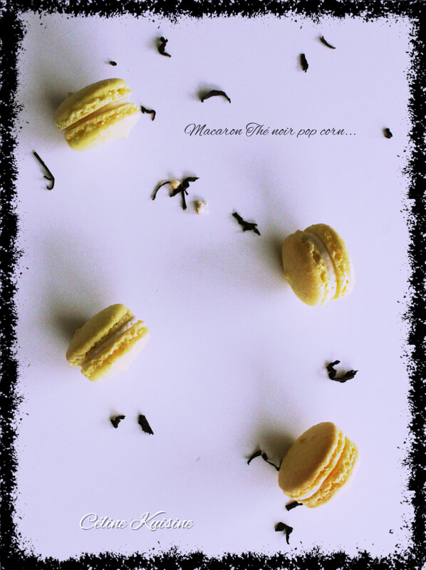 macaron the noir popcorn2