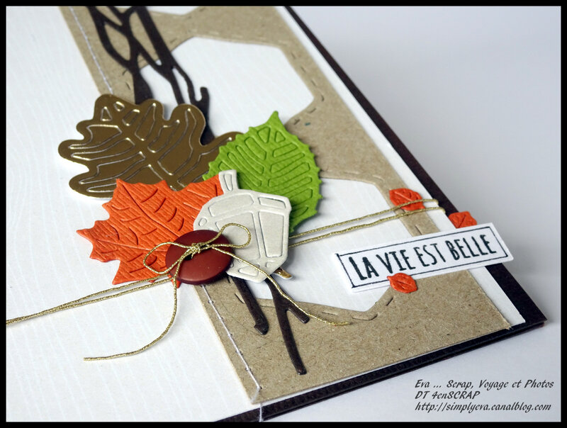 10 12_lit eva (2)