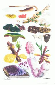 Berkeley6