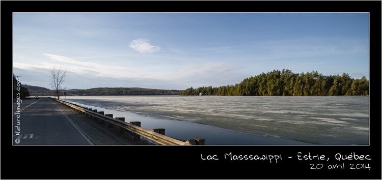 IMG_2109-naturelimages.com