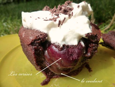 coulant mont cheri 5