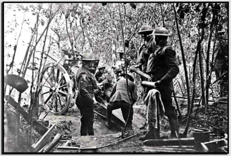 Améicains bois Belleau