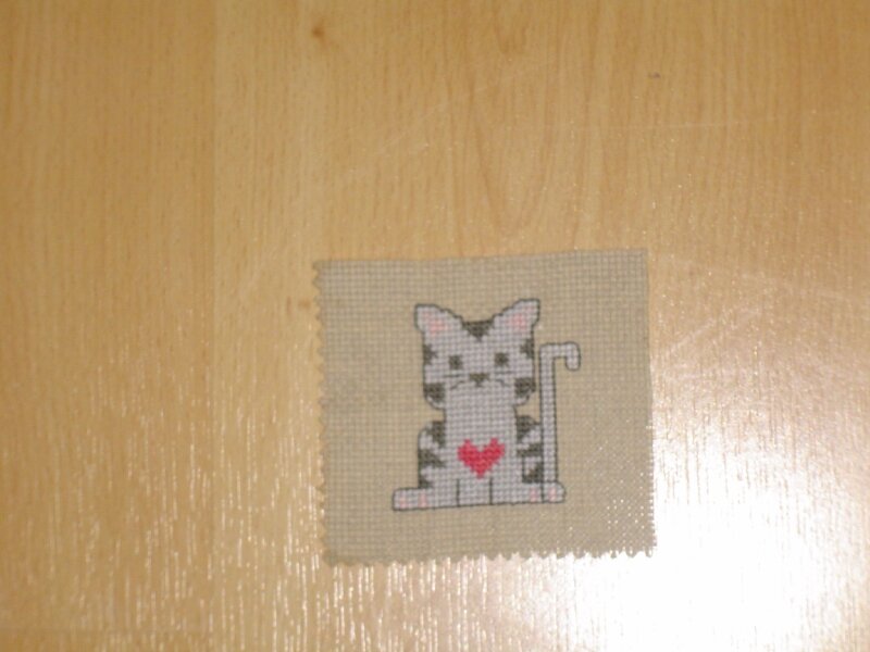 chaton au coeur