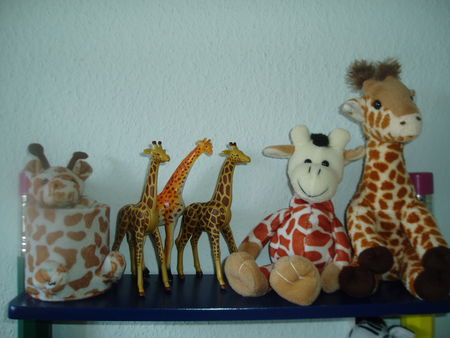Famille_girafe