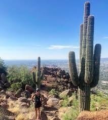 Day 1 - Phoenix avec cactus