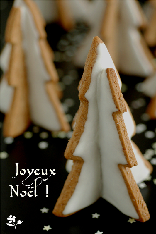 Noël 2014_sapins