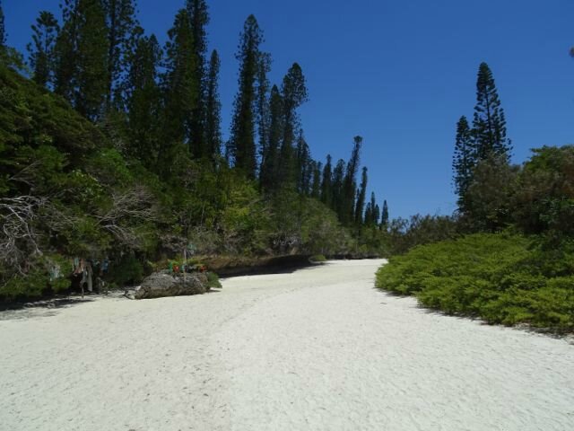 DSC04082