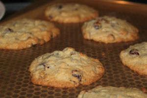 risotto et cookies 040