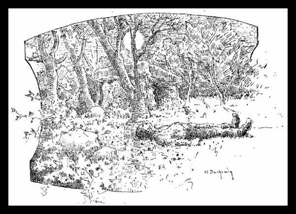 peau de bique - mort