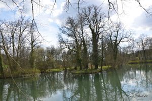 LES ETANGS DES FORGES