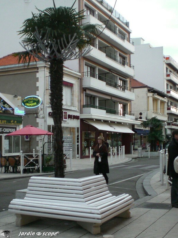 Bancs d'angle en bois en Arcachon (33)