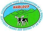 HARLOUP ECUSSON