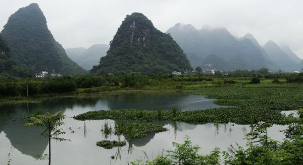 Guilin 336