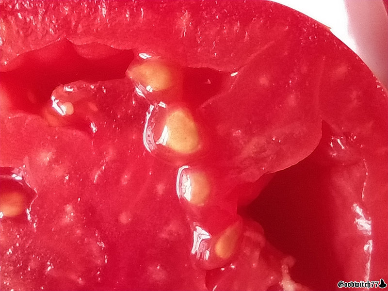 graines de tomates maison DIY (10)