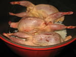Cailles_sur_nid_de_soja___la_sauce_ch_vre_et_champi_farci_005