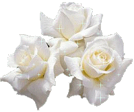 3_roses