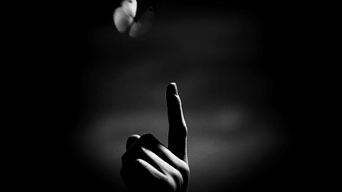 tumblr_m0weaweE1U1qd4q01o1_500