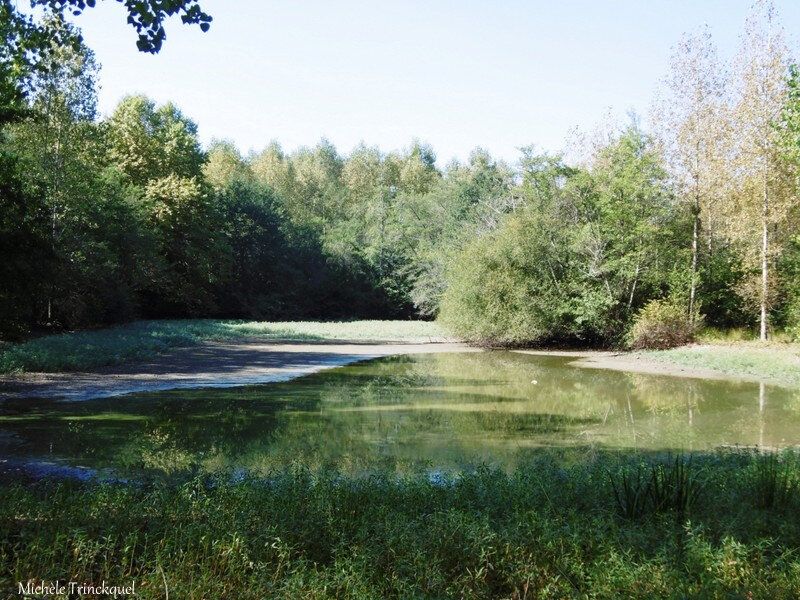 Etangs de la Marnière, de Vicq d'Auribat et St Jean de Lier 290918