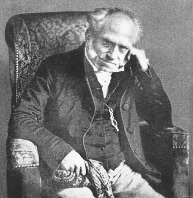 Schopenhauer fauteuil