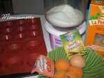 Douceurs_cheese_abricot_es_003