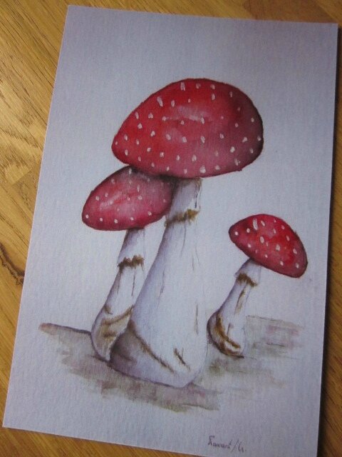 Carte postale 15X10 cm - Les champignons VI (2)