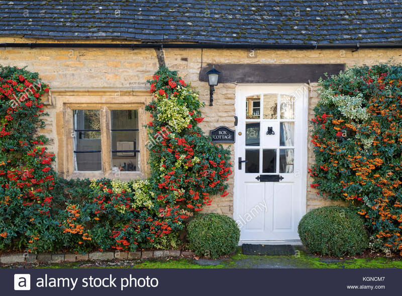 pyracantha-les-buissons-et-les-baies-multi-sur-l-exterieur-de-fort-cottage-broadwell-cotswolds-gloucestershire-angleterre-kgncm7