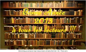 2013 à tous les lecteurs bonne année
