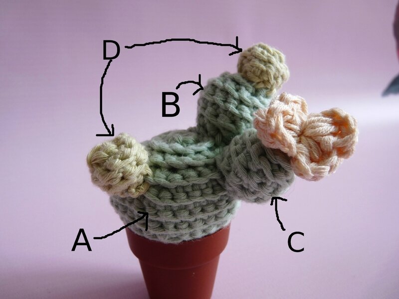 tuto cactus