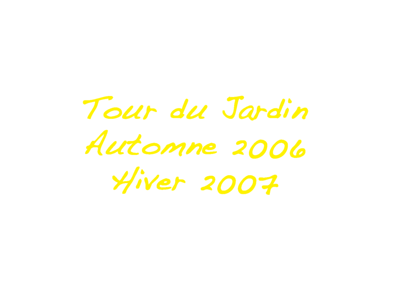 Automne-Hiver-2007