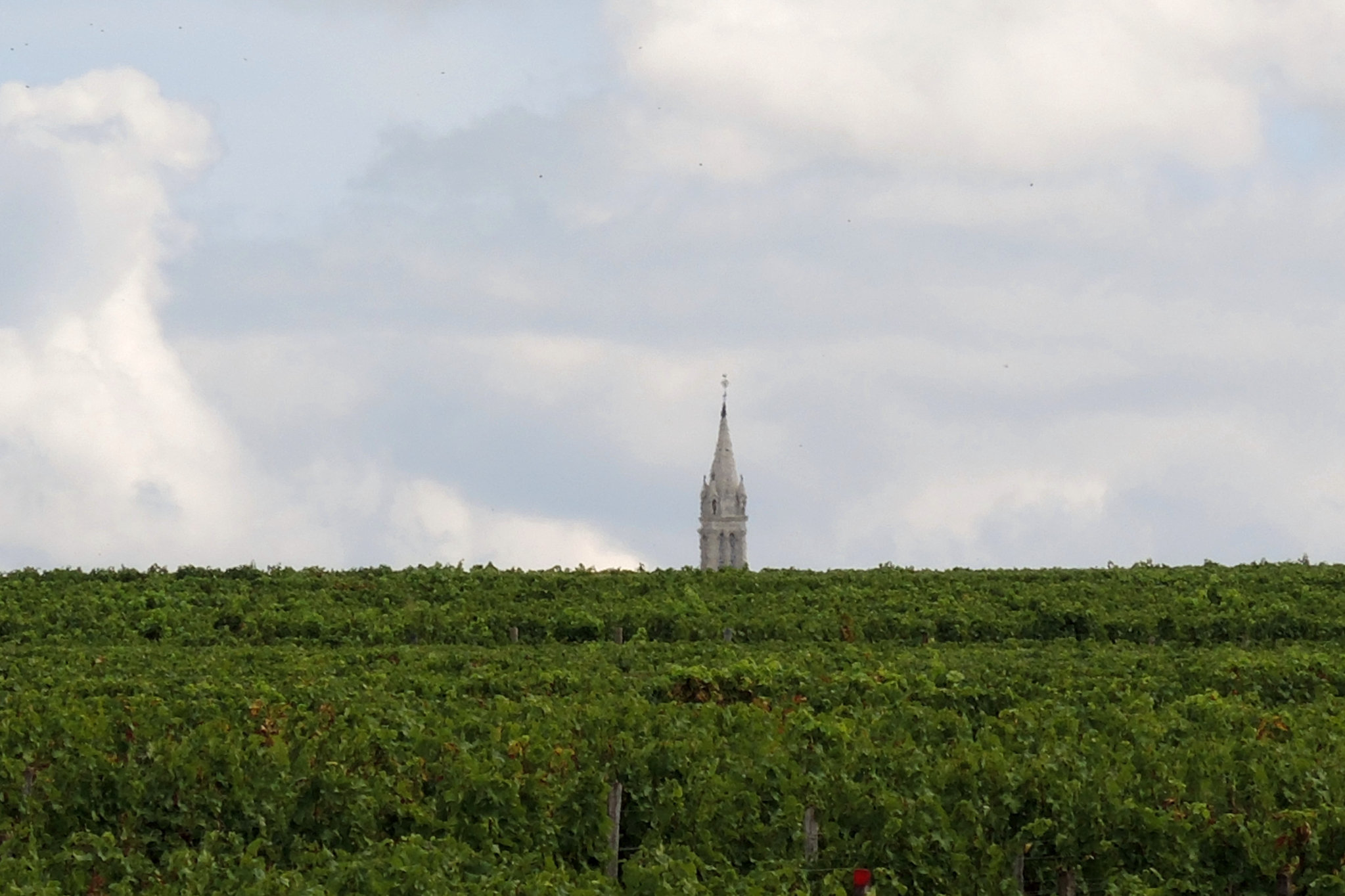 Pouilly-sur-Loire, De Loire en vignes, les vignes de cris, clocher de l'église de Saint-Andelain (58)
