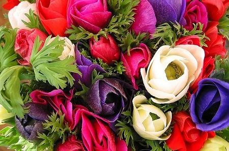 bouquet_d_anemones_233732