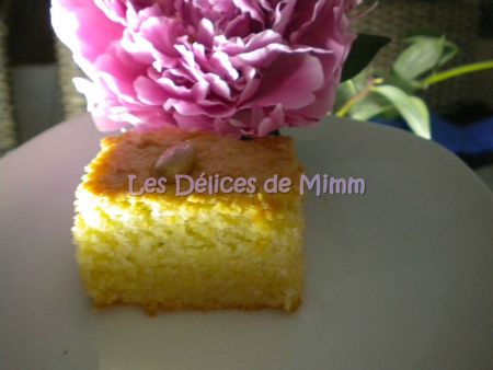 DSCN7244bis