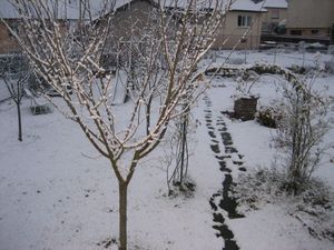 1ère neige 19 12 2011 001