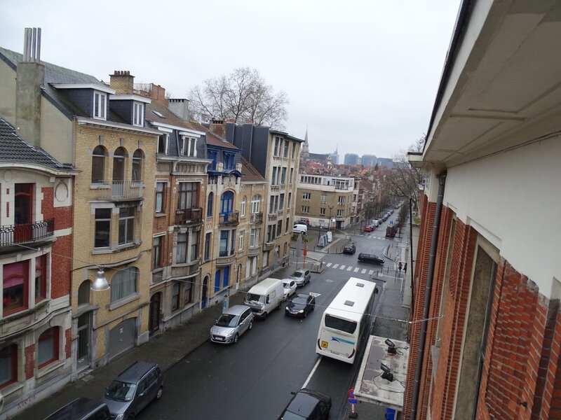 Vue qu'auront les martinets depuis les nichoirs