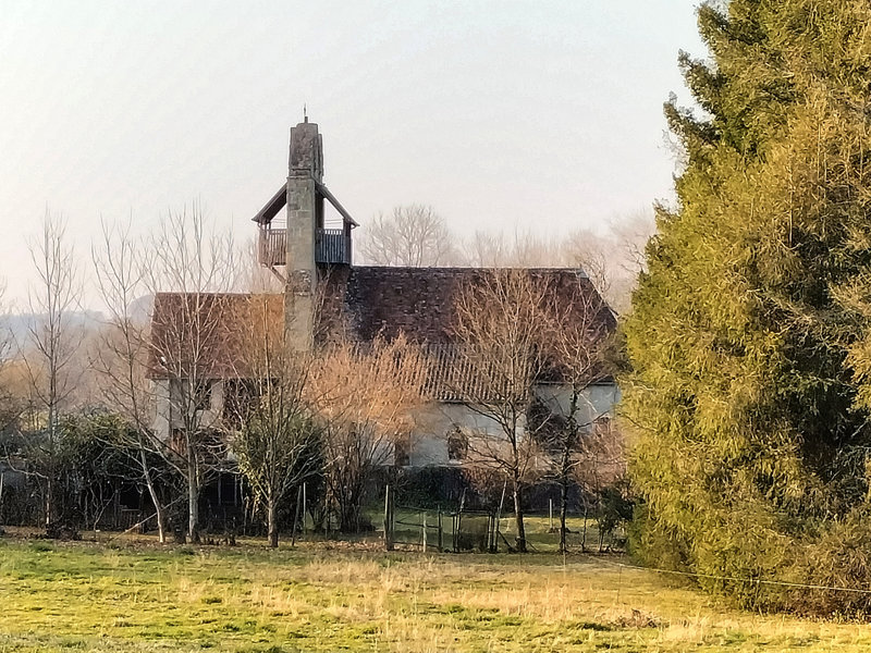 Viellenave-de-Navarrenx, église, profil (64)